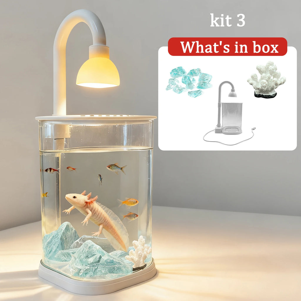 Starter Kit Small Fish Tank Axolotl Tank Tabletop Turtle Tank Goldfish Tank With Light Party Chirstmas Gift Idea For Kids